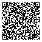 All 4 Syrians QR Card