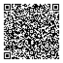 Fake QR Card