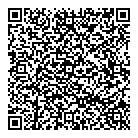 3 Vis QR Card