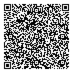 Data Dis Informatique Inc QR Card