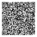 Dntw Chartered Accountant QR Card