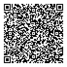 Boutique Fake QR Card