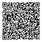 Dsolution QR Card