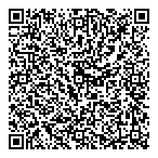 Salabi Consulting QR Card