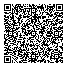 D Solutions QR Card