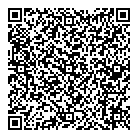 Mnp LLP QR Card