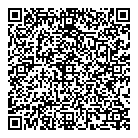 V Web Media QR Card