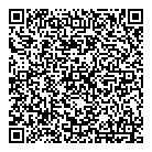 T D Auto Sales QR Card