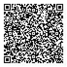 Drive Test QR Card