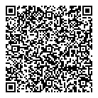 Bruch Consulting QR Card