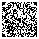 Avc Consulting QR Card