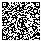 A1 Electric QR Card