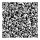 Vizel Saul Md QR Card