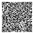 Lanxess Inc QR Card