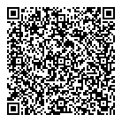 A  P Roofing QR Card