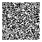 Demarcation Point Inc QR Card