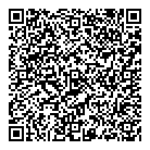 All Star Limousine QR Card