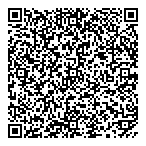Lally Ford Sales Leasing-Svc QR Card