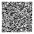 Predictive Analysis Ltd QR Card