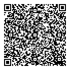 Modi Pio Z Dds QR Card