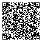 Mnp LLP QR Card