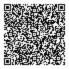 Quantum Solutions QR Card