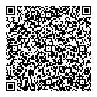 Spark Plug Doctor QR Card