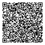 Sky View Import Export Ltd QR Card