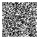 D O Consulting QR Card