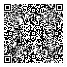 Diamond Limousine QR Card