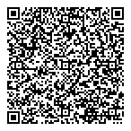 Chinese Social Development QR Card