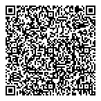 Demner Consulting Services QR Card