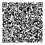 Andornot Consulting Inc QR Card