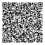 Bcgi Holdings Inc QR Card