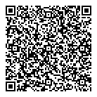 Professionail QR Card