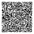 Link Insurance Services Ltd QR Card