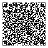 Vstar International Consulting QR Card