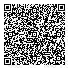 Typlan Consulting QR Card