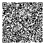 Dl Safety Consulting QR Card