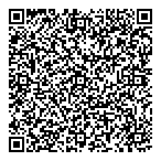 Island Insurance Ltd QR Card