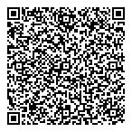 Quantum Lighting Inc QR Card