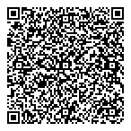 D G Power Systems Ltd QR Card