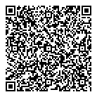 Mdt Systems Ltd QR Card