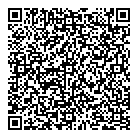 Check 'n' Loans QR Card