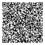 Lost Boys Studios Sch-Visual QR Card