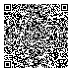 Alabaster Developments Ltd QR Card