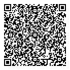 S P Consulting QR Card