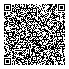 Ace Electric Ltd QR Card