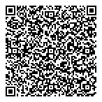 P3 Holdings Inc QR Card