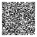 Dlv Resources Ltd QR Card